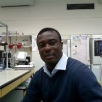 Prof. Dr. David Darko Obiri